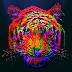 Tigershout