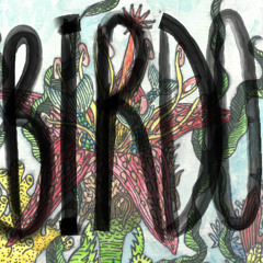 Birdo!!