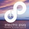 Electropuq Punta Arenas