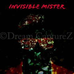 Invisible Mister