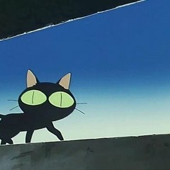 young_cat