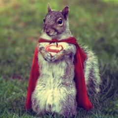 Sketch-Squirrel