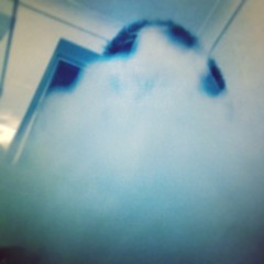 Bluntz1