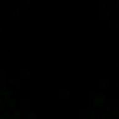 ابو عمار