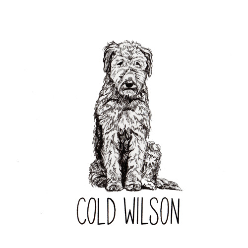 Cold Wilson’s avatar