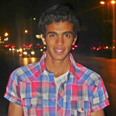 Waleed Fekry 2