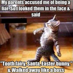 Samuel Sammy Davidson