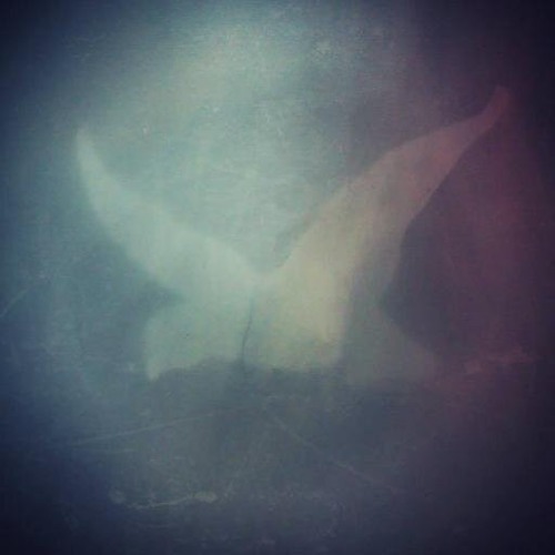 God Is An Astronaut - A Deafening Distance