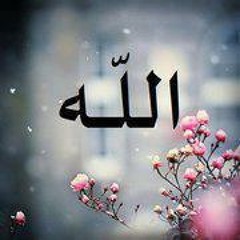 Eman Rashad 11