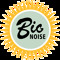 Big Noise Artists