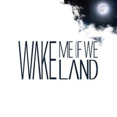 Wake Me If We Land