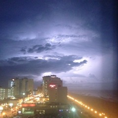 The Light In The Lions