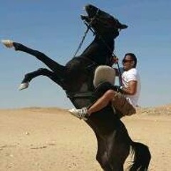 Mohamed Elflah