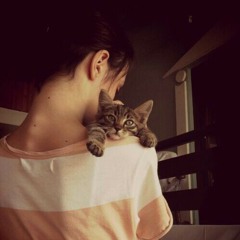 sara_alwerfaliy95