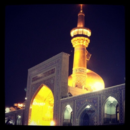 صوت الحب - شداد التميمي