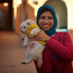 dina zohdy