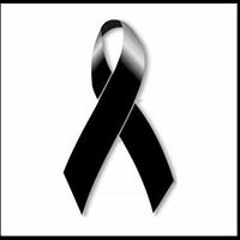 Poeta Sin Inspirasion