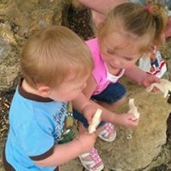 Rose Marie Ellis-Locklin