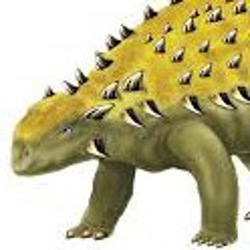 ankylosaurus-kun’s avatar