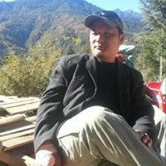 Thuji