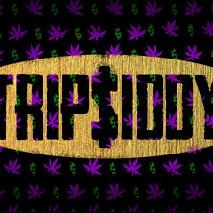 Trip