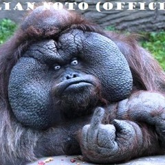 JULZN0T0