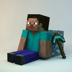 stevefromminecraft764