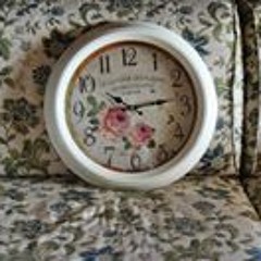 Maria Andreina Santaterra