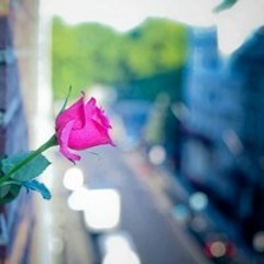 04 سلسلة أبواب البشرى‬ - YouTube