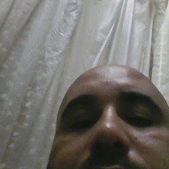 mody mody 41