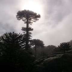 Héctor Betancourt 14