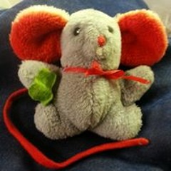 Julie Skivington Lamb