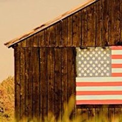 Tammy Maxwell Shubert