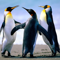 christopher bryan 16