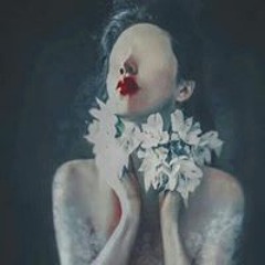 Asphodèle Blanche