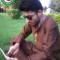 Hammad Ali