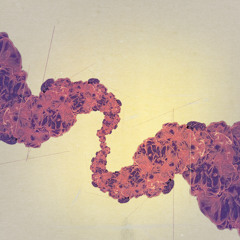 Sufjan Stevens - All The Trees Of The Field Will Clap Their Hands (Empty Hollers Remix)