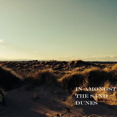 Harry J Wilson (Artic)