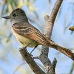 Duran Huseyin Kacmaz