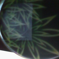 peacelovehappiness420