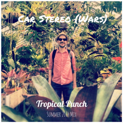 DJCarStereoWars