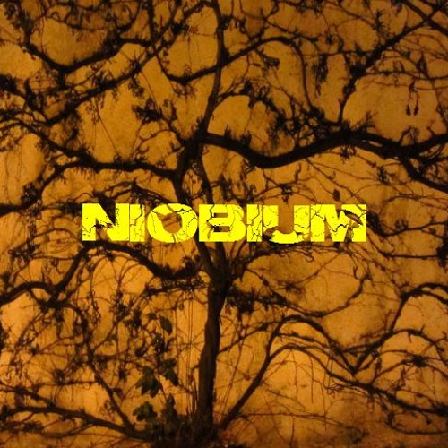 -Niobium-’s avatar