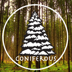 Coniferous