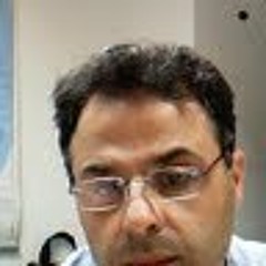 mehrdad niayesh 1