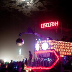 DustyDolphin