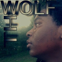 the_wolf48