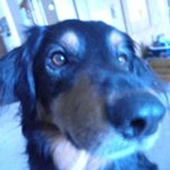 Charlie Famas Varney