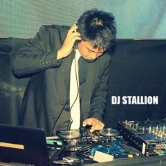 DJ Stallion
