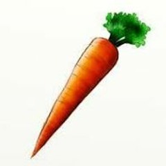 Carrot Carrot