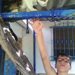 Marcos Buendia Asperilla